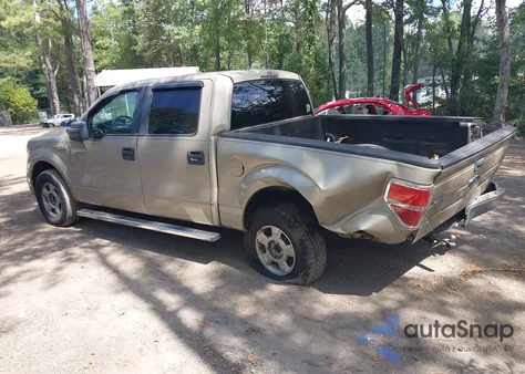 2010 Ford F-150 Xlt из США, поврежденный, VIN 1FTEW1C85AKB05330